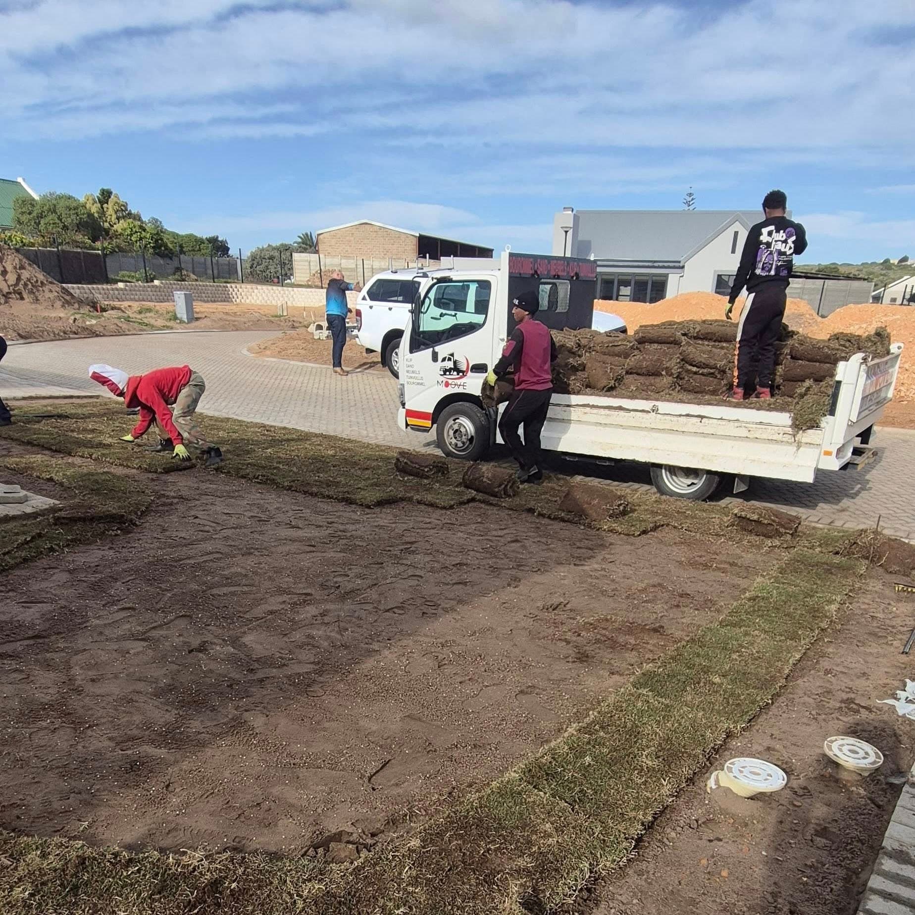 Landscapers unloading and laying rolls of fresh grass sod from a truck onto the ground.